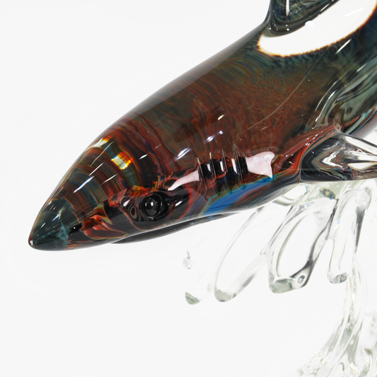 SHARK, CALCEDONIO COLLECTION