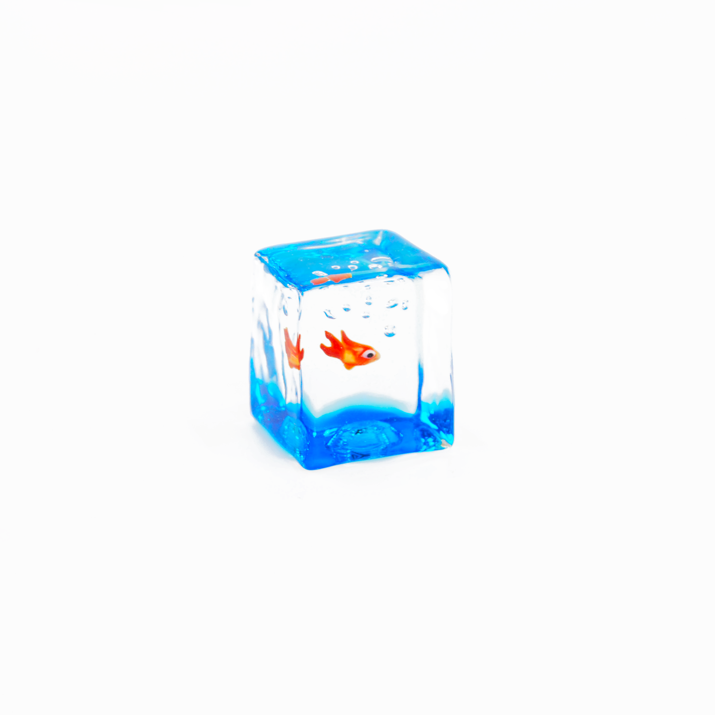 AQUARIUM CUBE