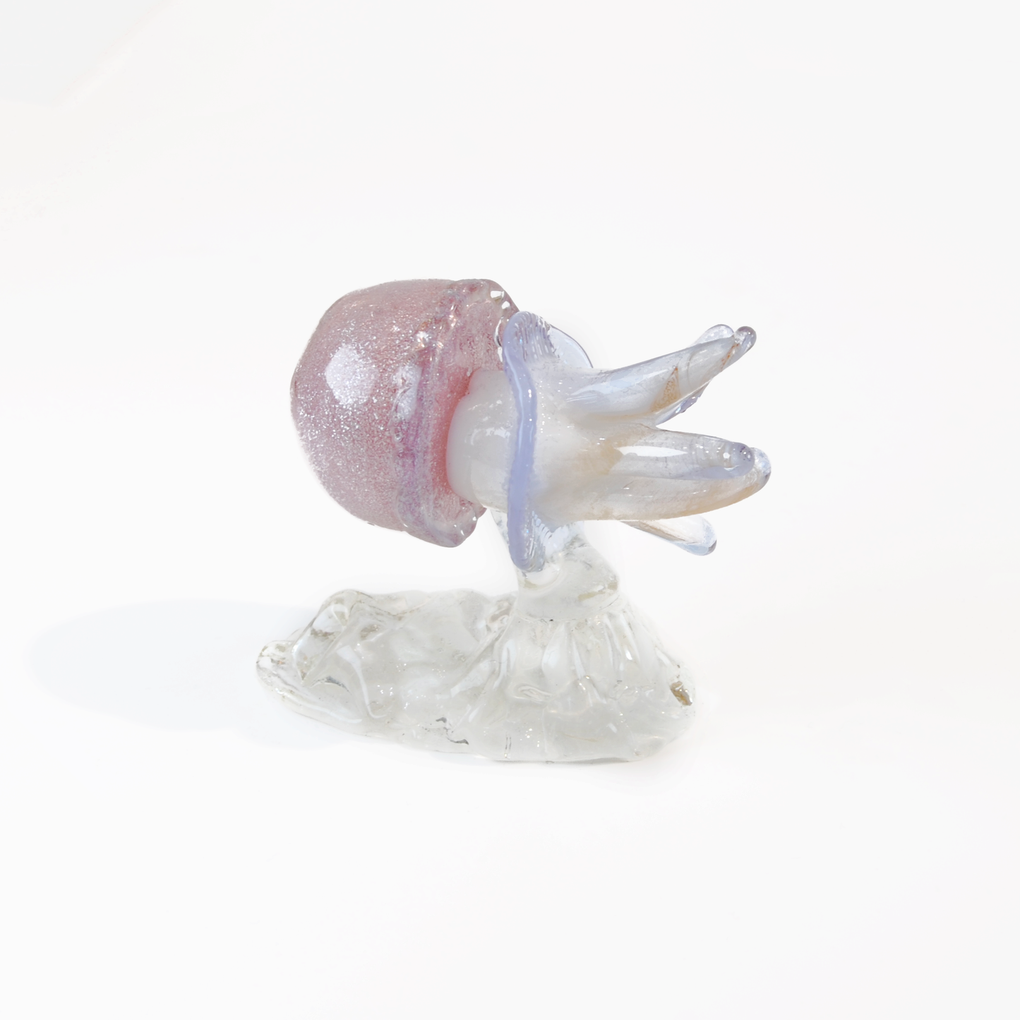 JELLYFISH SMALL