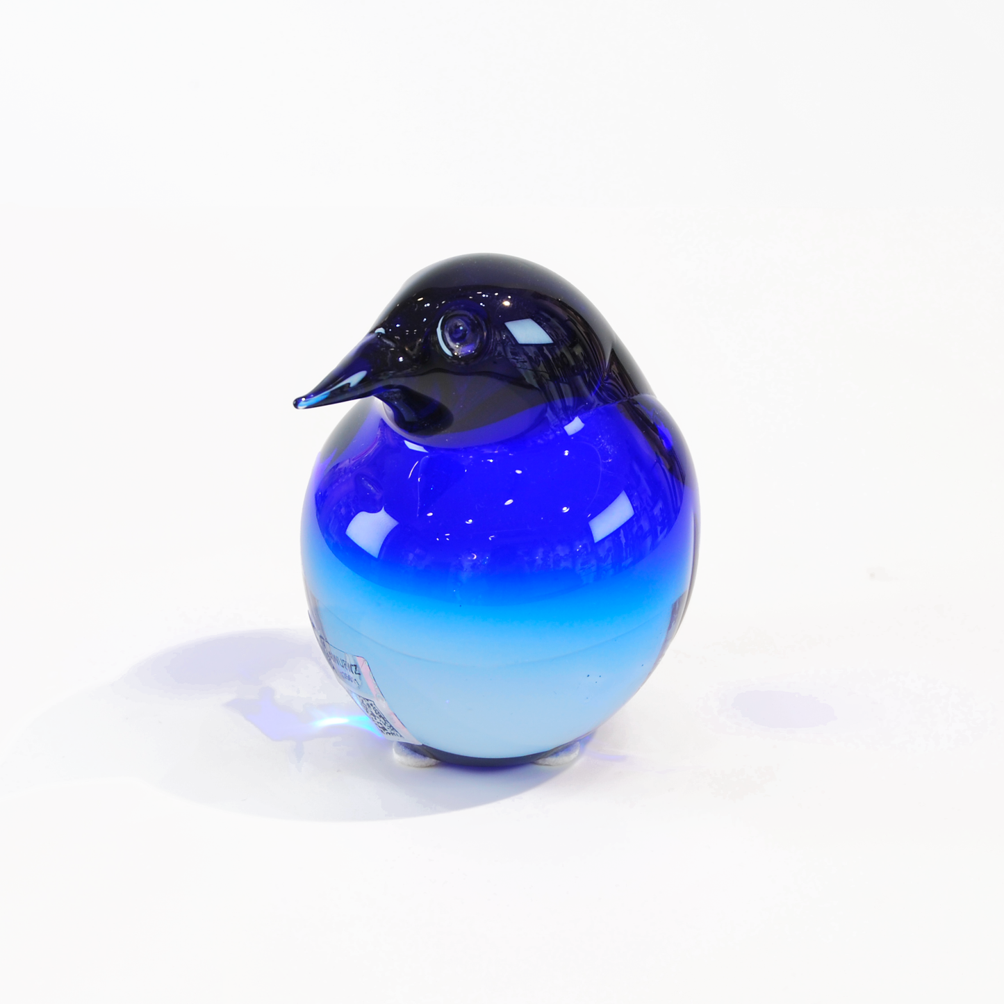 KIWI SMALL