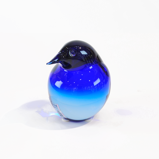 KIWI SMALL