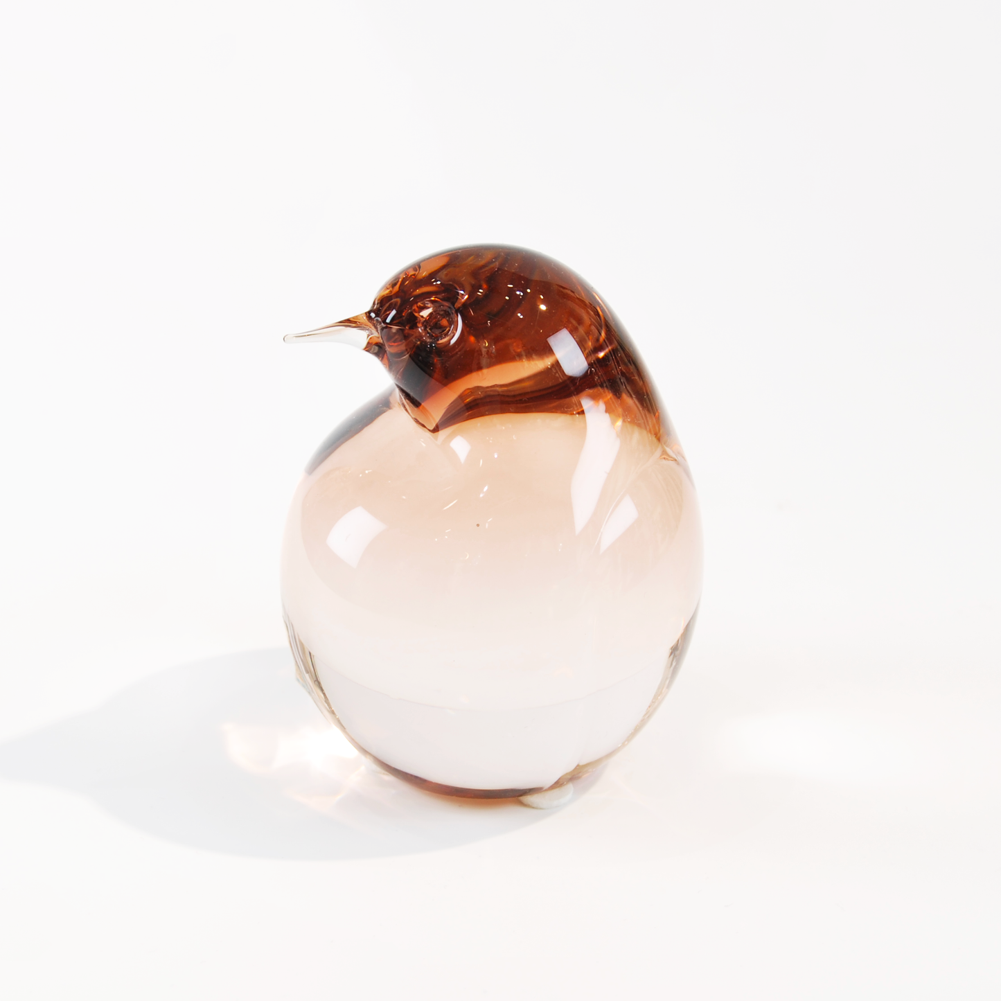 KIWI SMALL