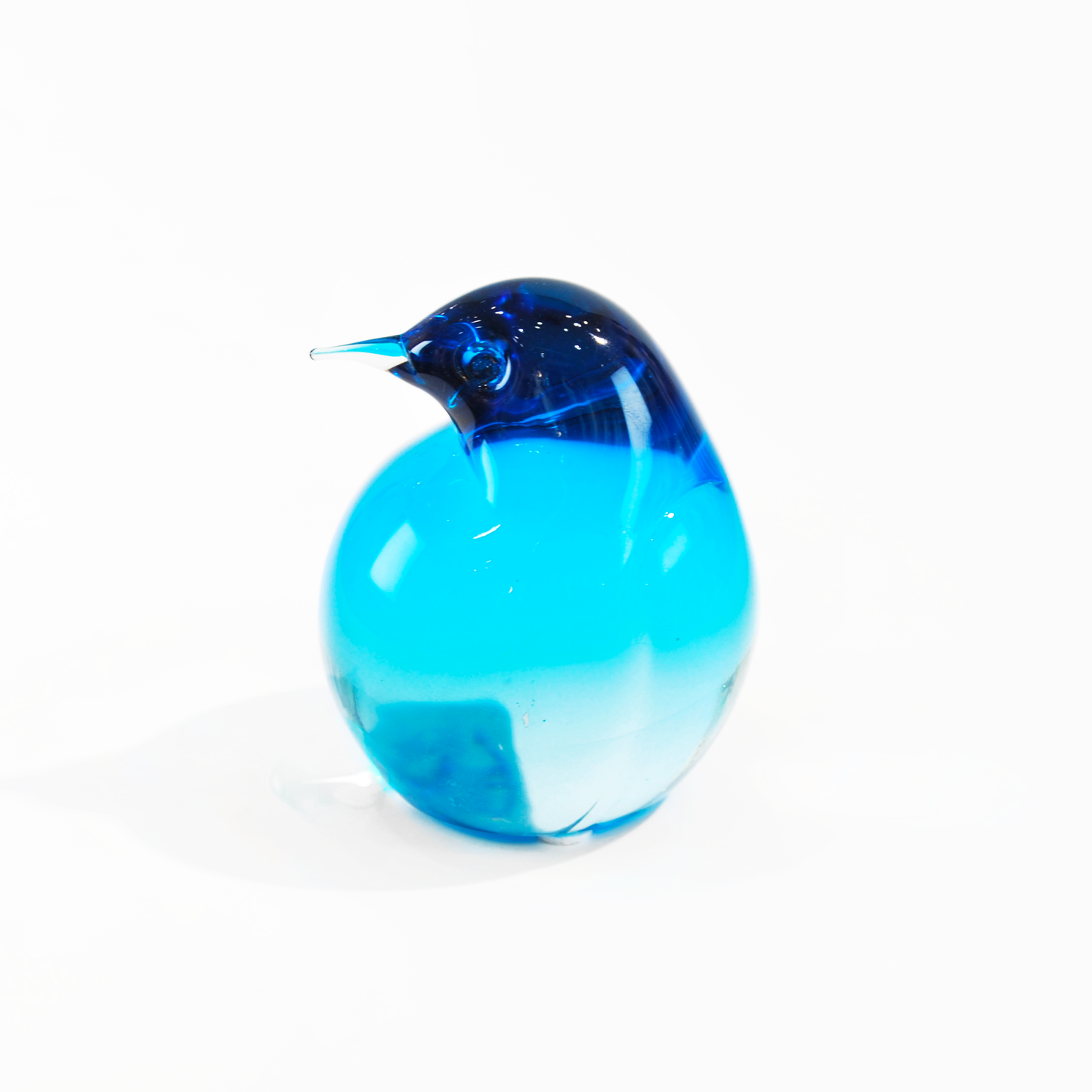 KIWI SMALL