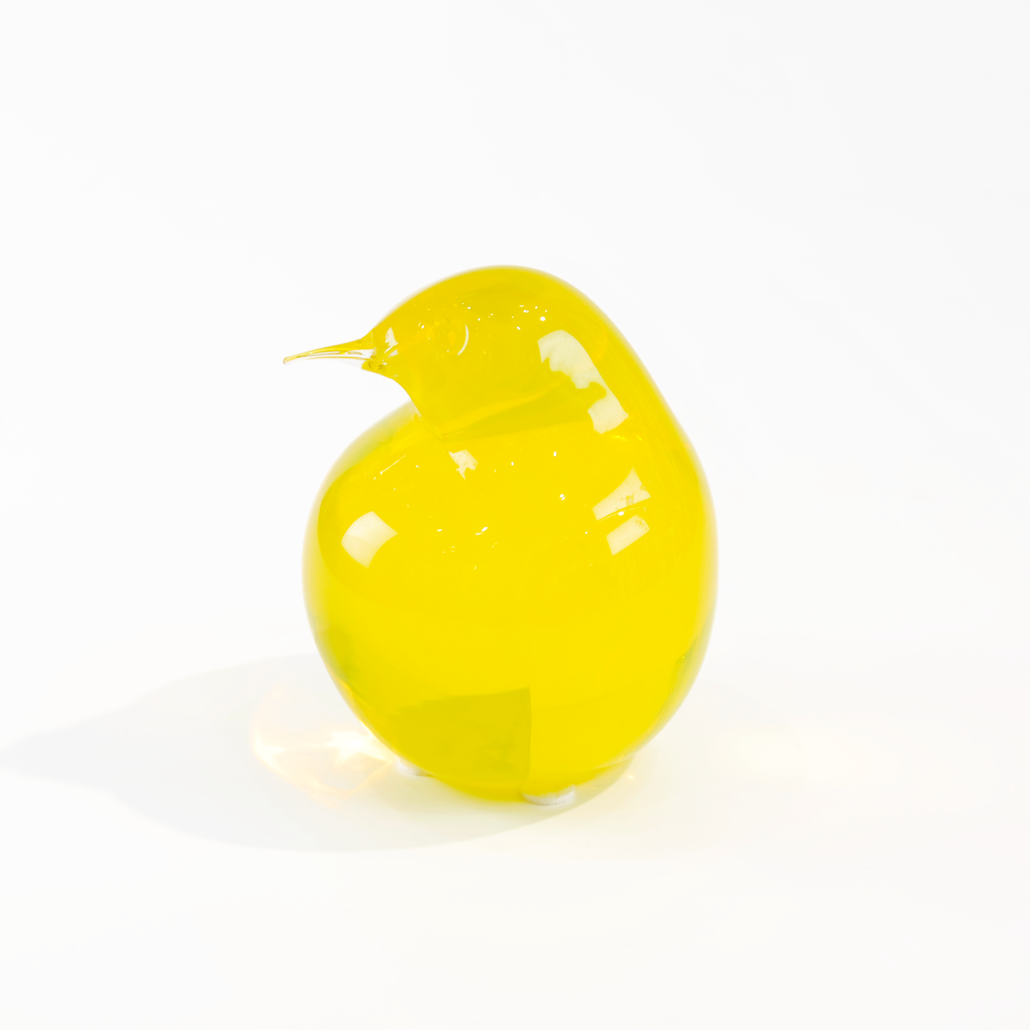 KIWI SMALL