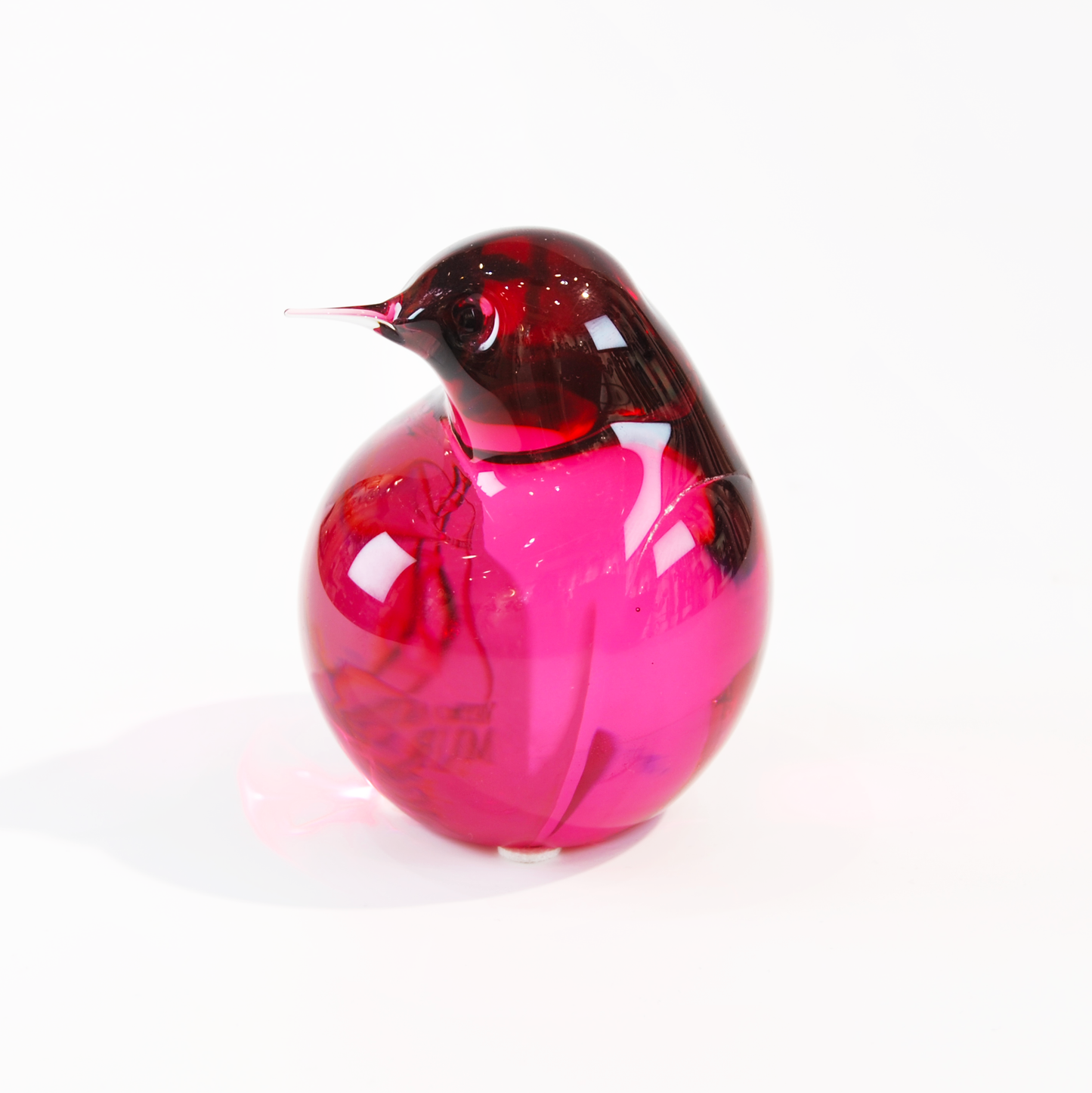 KIWI SMALL