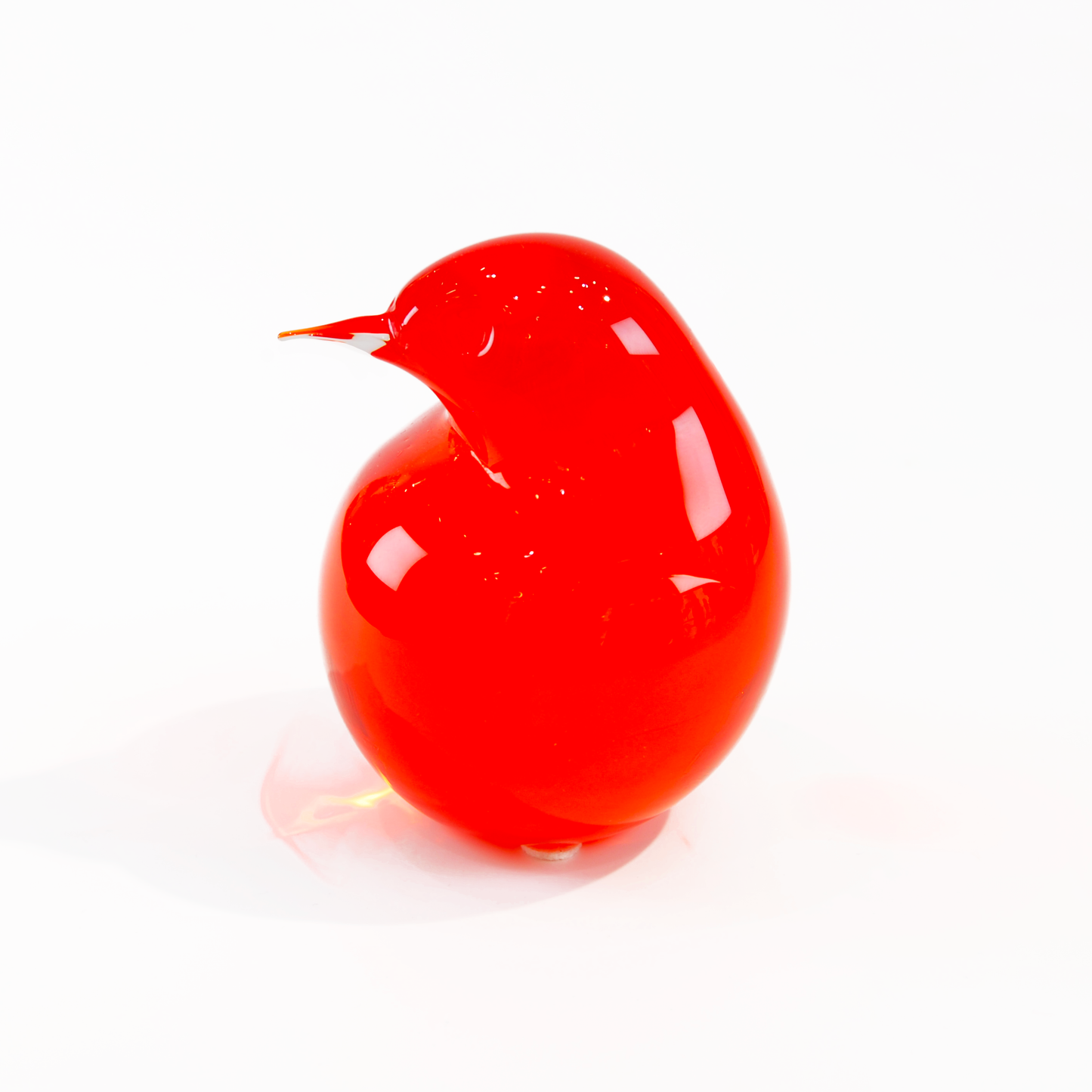 KIWI SMALL