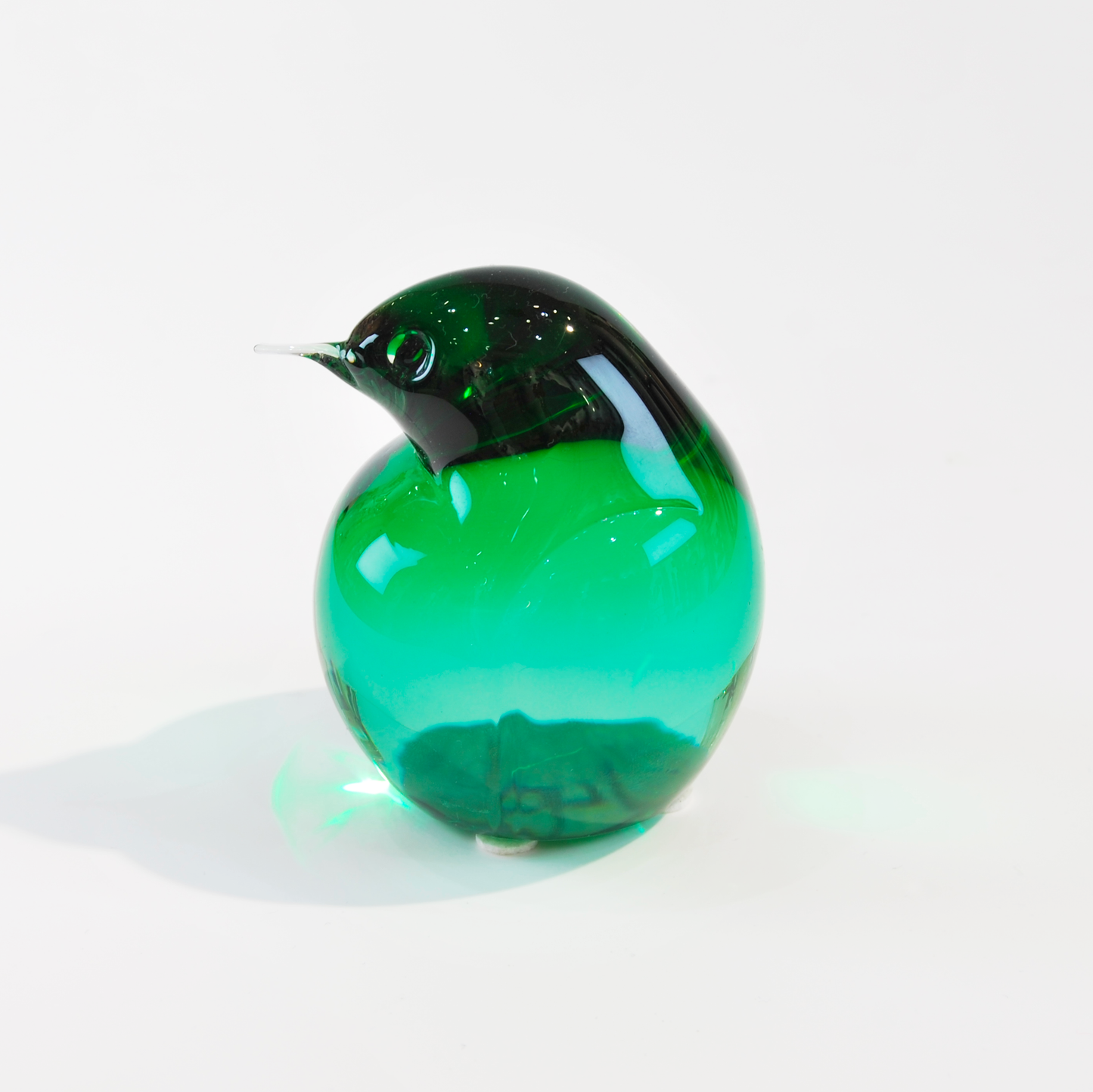 KIWI SMALL