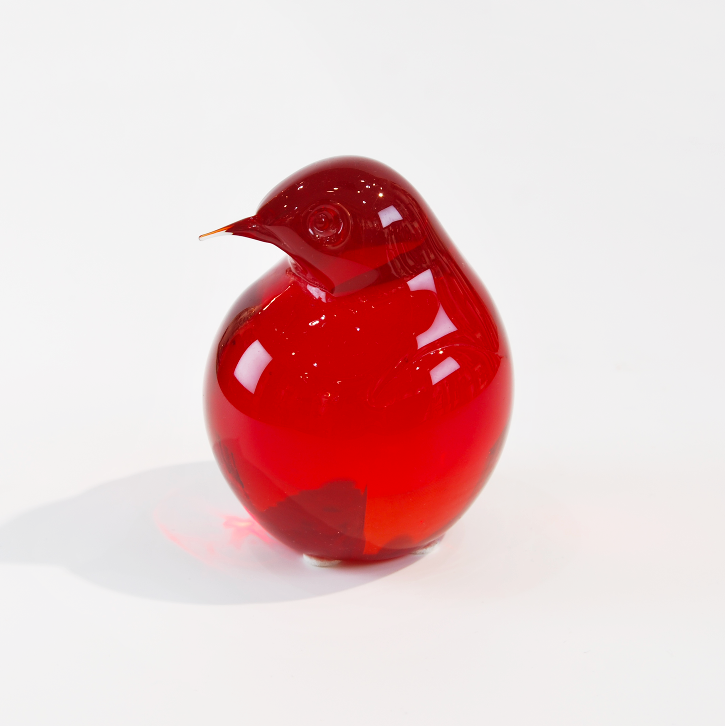 KIWI SMALL
