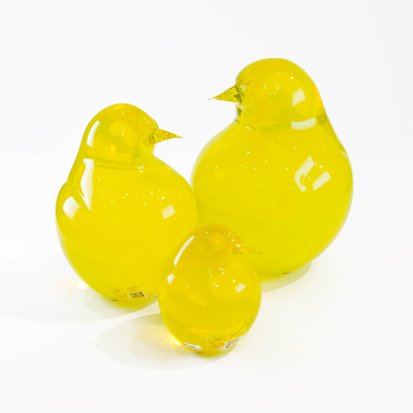 KIWI TRIO