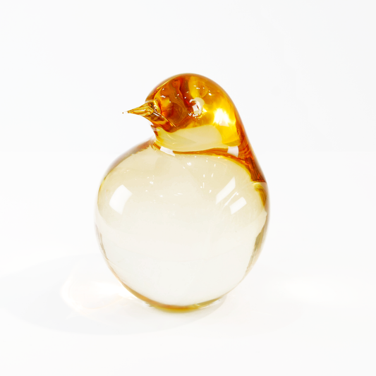 KIWI MEDIUM