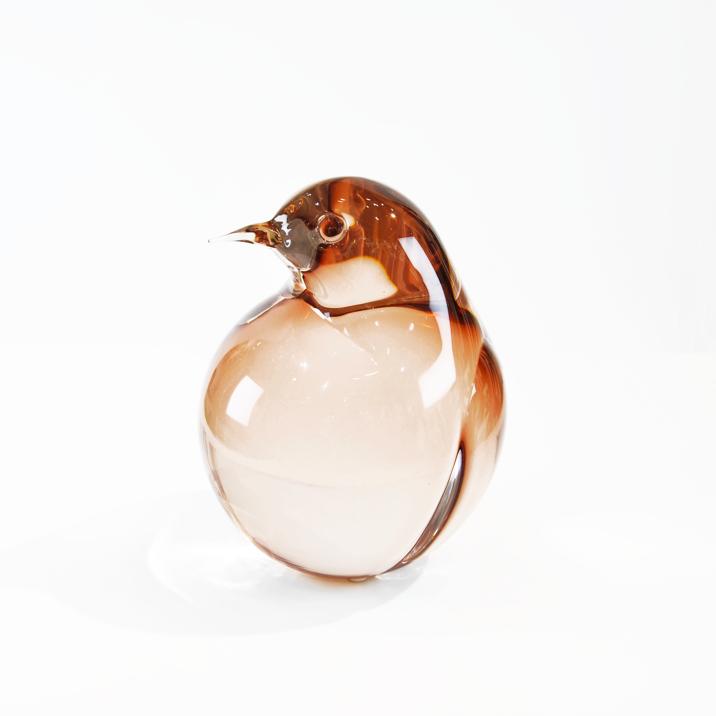 KIWI MEDIUM