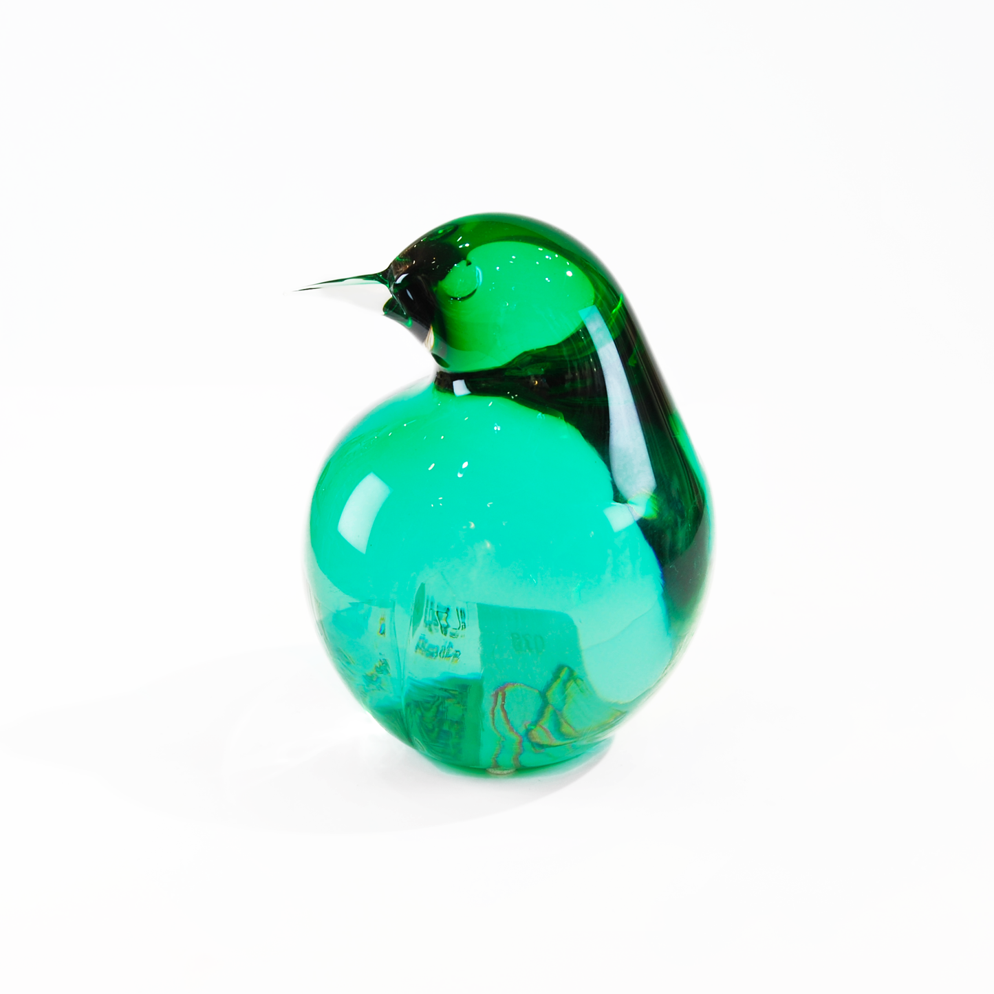 KIWI MEDIUM