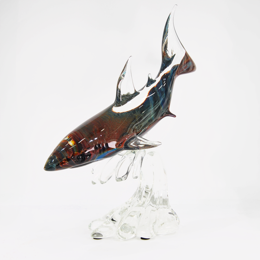 SHARK, CALCEDONIO COLLECTION