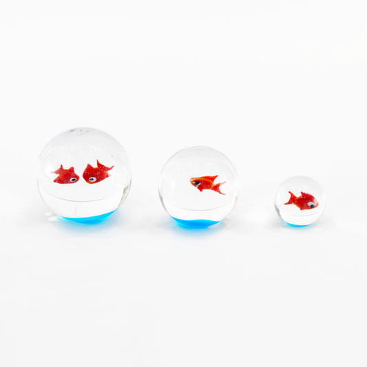 AQUARIUM GLOBE